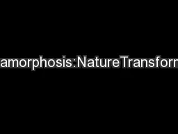 Metamorphosis:NatureTransforming