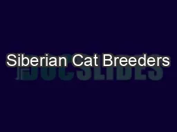 Siberian Cat Breeders