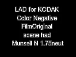 LAD for KODAK Color Negative FilmOriginal scene had Munsell N 1.75neut