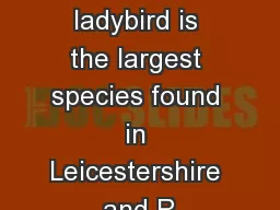 The eyed ladybird is the largest species found in Leicestershire and R