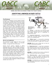 IDENTIFYING LAMENESS IN DAIRY CATTLE  Produced in consultation with th