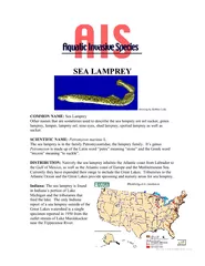 DESCRIPTION: The sea lamprey