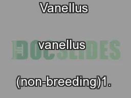 Page 1A6.63Lapwing Vanellus vanellus  (non-breeding)1.  Status in UK
.