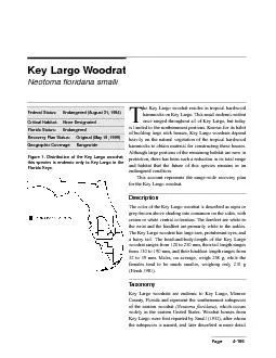 he Key Largo woodrat resides in tropical hardwoodhammocks on Key Largo
