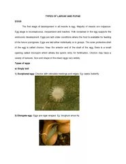 TYPES OF LARVAE AND PUPAE