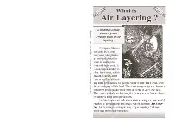 8 - Air LAyering