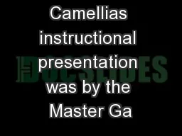 Air Layering Camellias instructional presentation was by the Master Ga