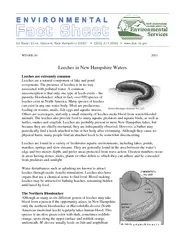 Leeches in New Hampshire Waters