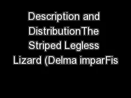 Description and DistributionThe Striped Legless Lizard (Delma imparFis