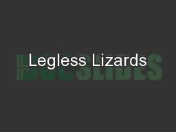 Legless Lizards