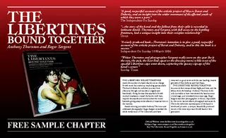THE LIBERTINES: BOUND TOGETHERtraces the journey of a band that set ou