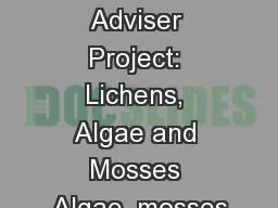 Carved Stones Adviser Project: Lichens, Algae and Mosses Algae, mosses