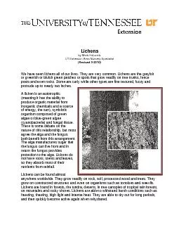 by Mark Halcomb UT Extension Area Nursery Specialist (Revised 3-2010)W