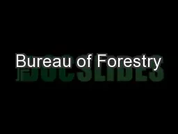 Bureau of Forestry
