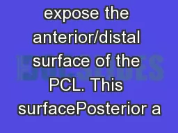expose the anterior/distal surface of the PCL. This surfacePosterior a