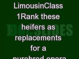 LimousinClass 1Rank these heifers as replacements for a purebred opera