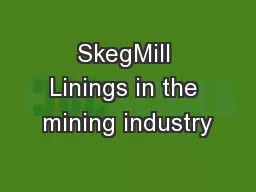 SkegMill Linings in the mining industry
