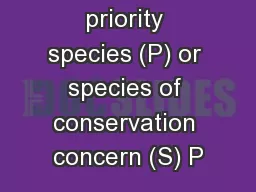 priority species (P) or species of conservation concern (S) P