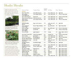  Shade Shrubs Botanical Name Common Name Height Width Soil Type Zone Exposure Evergreen
