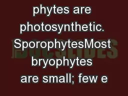 phytes are photosynthetic. SporophytesMost bryophytes are small; few e
