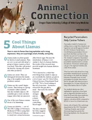 ere is more to llamas than long eyelashes and a smug Llamas make exce