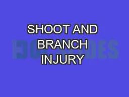 SHOOT AND BRANCH INJURY 