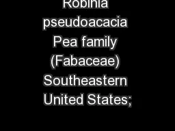 Robinia pseudoacacia Pea family (Fabaceae) Southeastern United States;