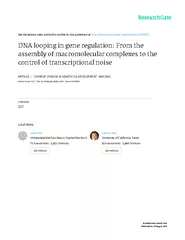 DNA looping in gene regulation: from the assembly of macromolecular co