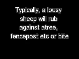 Typically, a lousy sheep will rub against atree, fencepost etc or bite
