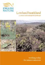 Lowland heathlanda cultural and endangered landscapeworking today for