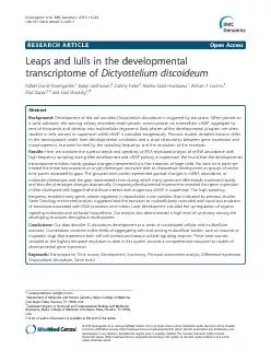 PDF-Thesocialamoeba thumbnail