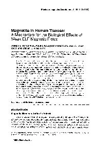 Supplement 1 :101-113 (1992) Human Tissues: Kirschvink, Atsuko Kobayas