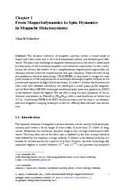 FromMagnetodynamicstoSpinDynamics