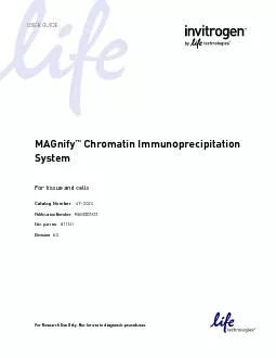 MAGnify Chromatin Immunoprecipitation System Catalog Number49-2024 Pub