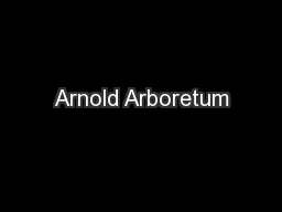 Arnold Arboretum