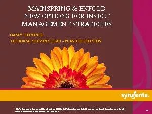 MAINSPRING & ENFOLDNEW OPTIONS FOR INSECT MANAGEMENT STRATEGIESNANCY R