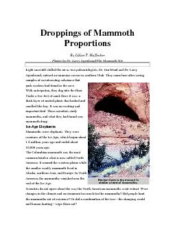 Droppings of Mammoth