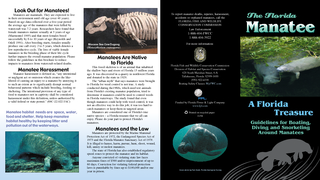 To report manatee deaths, injuries, harassment,   accidents or orphane