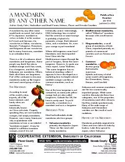 A mandarin by any other name  Page 1