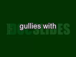 gullies with