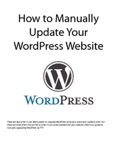 How to Manually Update Your WordPress WebsiteThere are days when it ju