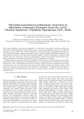 Microbialmat-inducedsedimentarystructuresinsiliciclasticsediments:Exam