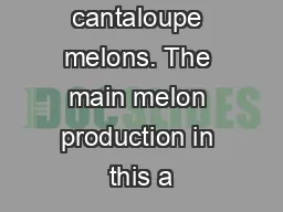 follows that of cantaloupe melons. The main melon production in this a