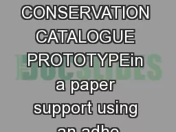PAPER CONSERVATION CATALOGUE PROTOTYPEin a paper support using an adhe
