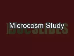 Microcosm Study