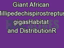 Giant African Millipedechispirostreptus gigasHabitat and DistributionR