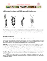 Millipedes, Sowbugs and Pillbugs, and Centipedes