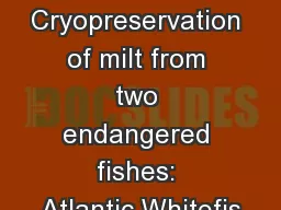 Cryopreservation of milt from two endangered fishes: Atlantic Whitefis