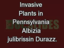 Invasive Plants in Pennsylvania Albizia julibrissin Durazz.