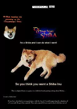 I'm a Shiba and I can do what I want!